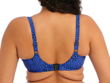 Load image into Gallery viewer, Pebble Cove UW Plunge Bikini Top