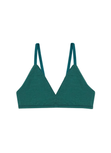 Mineral Triangle Bra